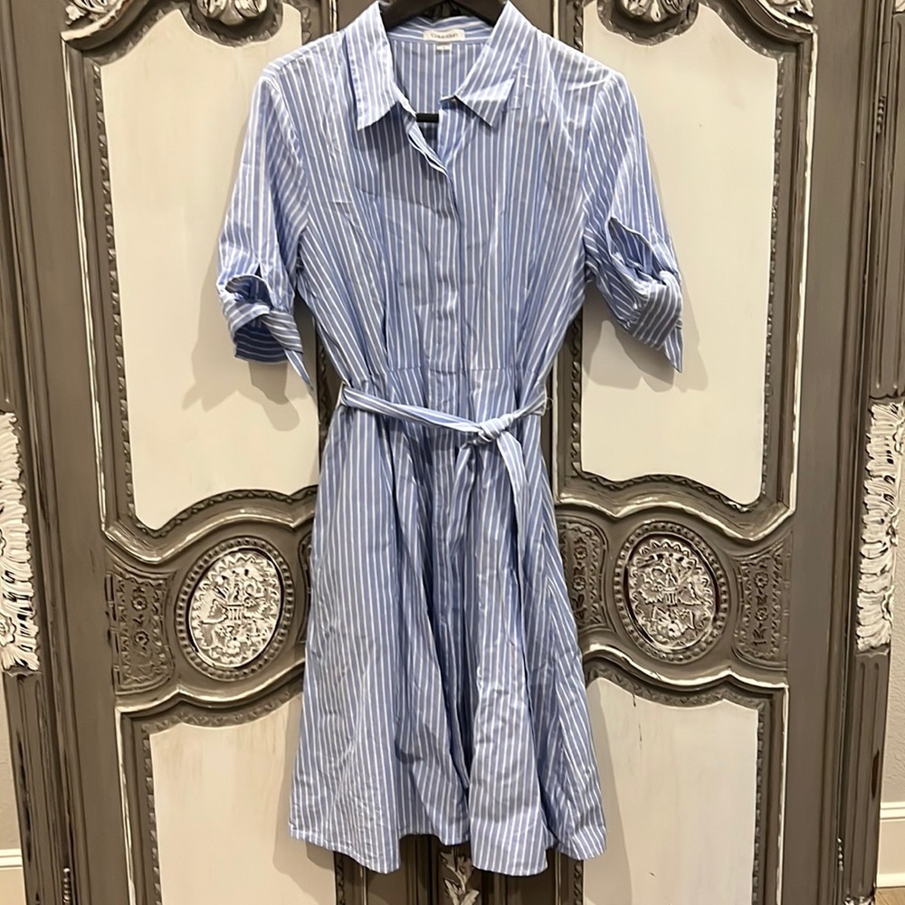 Calvin Klein Blue Striped Dress